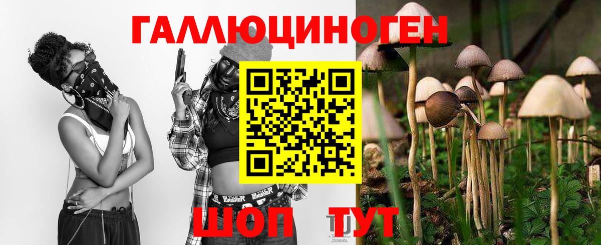 Тамбов  Псилоцибиновые грибы GOLDEN TEACHER  цена наркотик  Вход с VPN  Псилоцибиновые грибы Magic Shrooms 